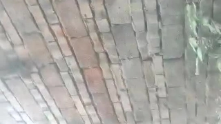 中国精品久久久久久久久久久-小鸟酱与小果酱写真