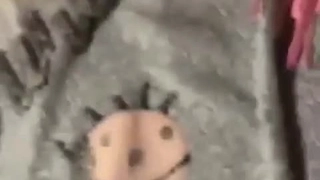 赛琳娜的黄金完整翻译版中文-直播 火辣身材的娜扎【沙滩上的贝壳酱】!