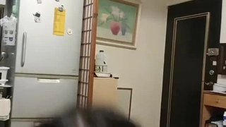 赛琳娜的黄金完整翻译版中文-直播 火辣身材的娜扎【沙滩上的贝壳酱】!